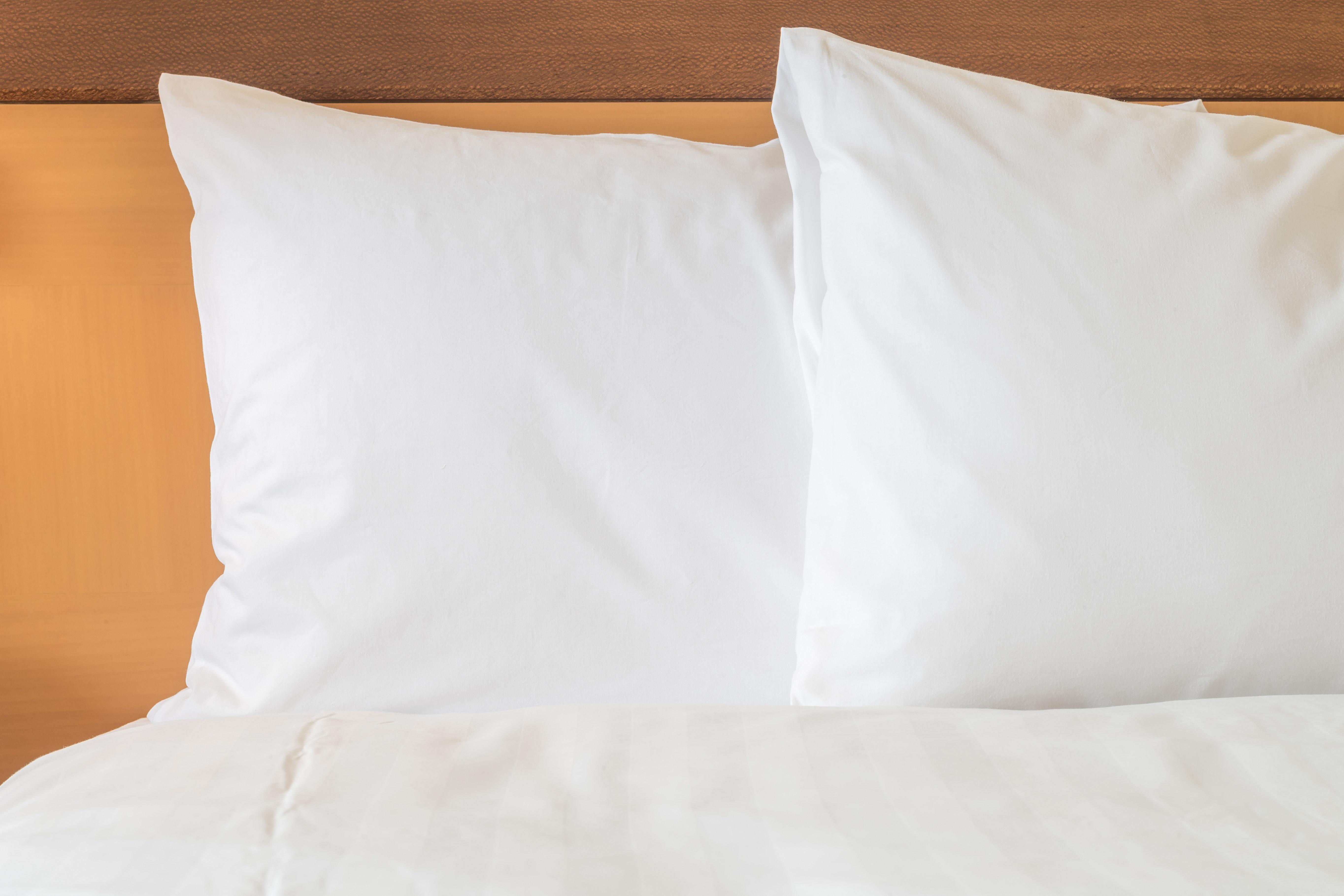 Holiday Inn Memphis-University Of Memphis By Ihg Eksteriør billede
